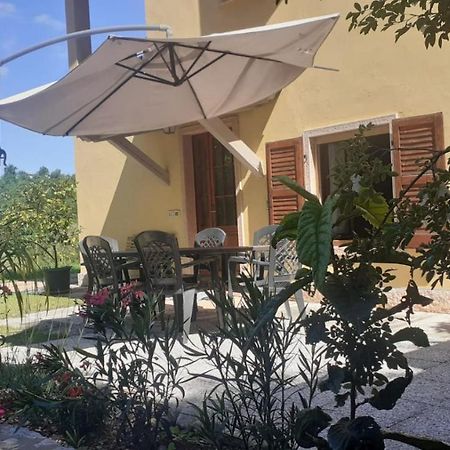 Ca' La Volpe Villa Torri Del Benaco Bagian luar foto